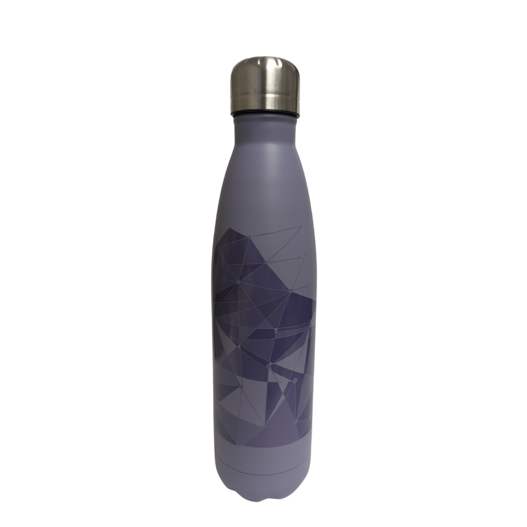 Disney Tomorrowland Purple Wall Water Bottle